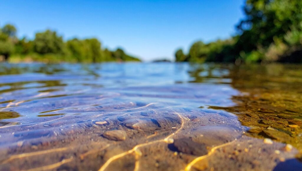 Clear water in a lake