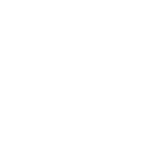 Lake Martin Vibe Realty TM White Logo