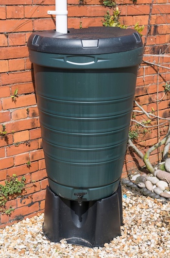Decorative green rain barrel