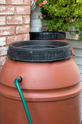 Custom rain barrel