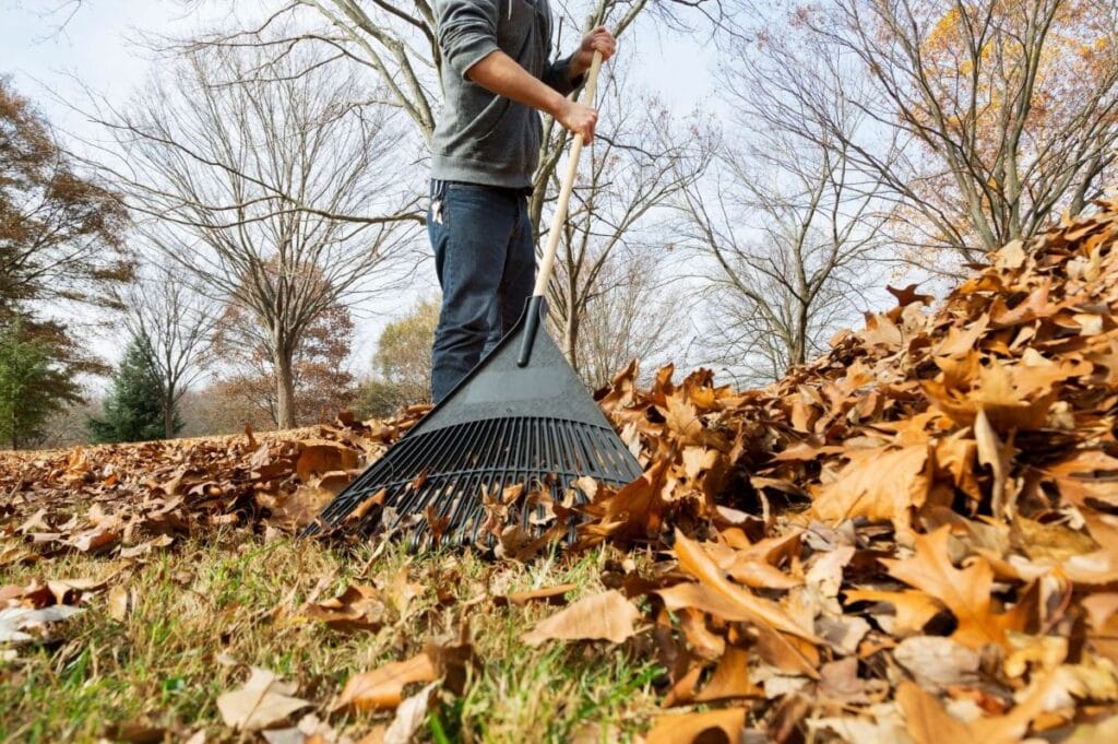 Man raking leaves