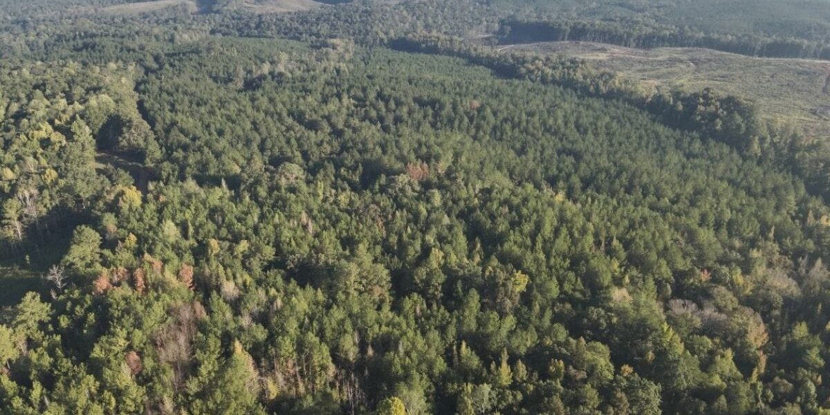 Aerial shot of property
