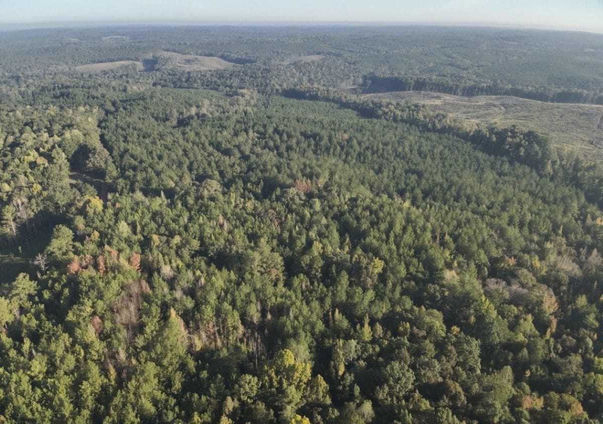 Aerial shot of property